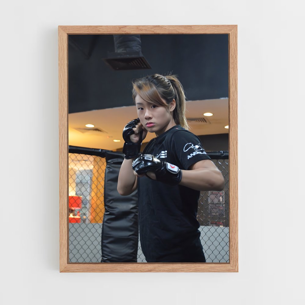 Poster Garde de l'Ombre – affiche MMA (vue 4)